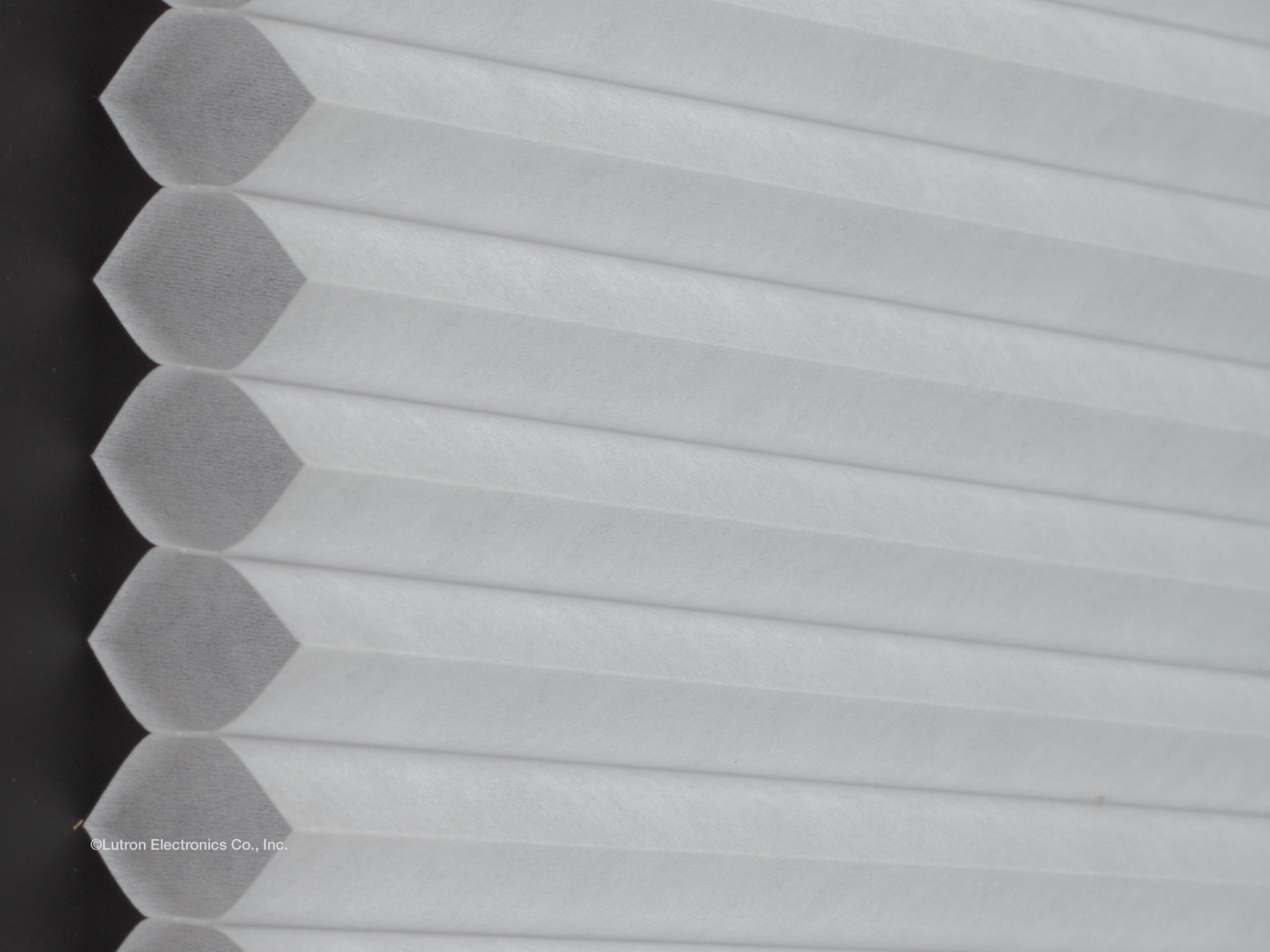 Caseta blinds new arrivals